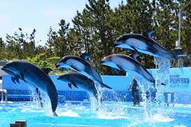 新潟市水族館マリンピア日本海