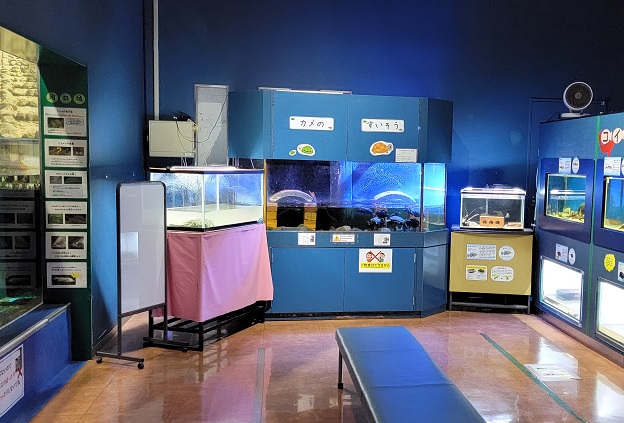 大淀川学習館