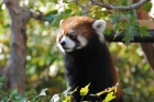 高知県立のいち動物公園